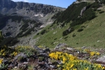 Rila